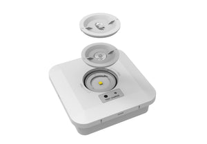 CGC Surface Mount Square White IP65 Emergency Downlight with Changeable Corridor and Open Area Lens